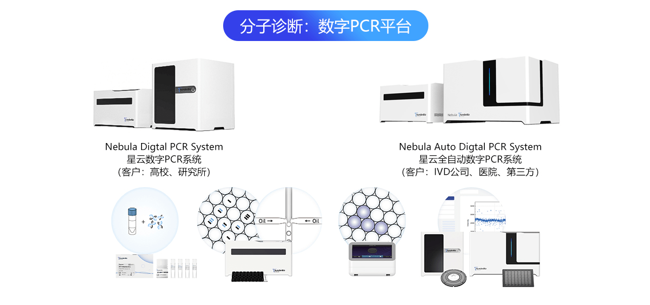 流化床干燥器特别适用于处理()的物料