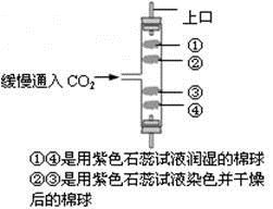 技术研究 第4页