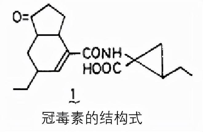 砌体粘合剂