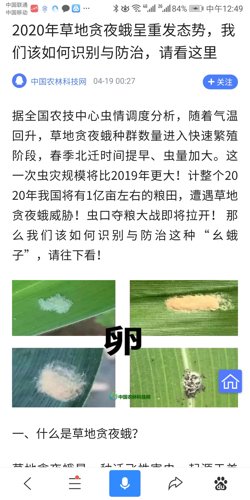 拔毛草用什么农药能打死