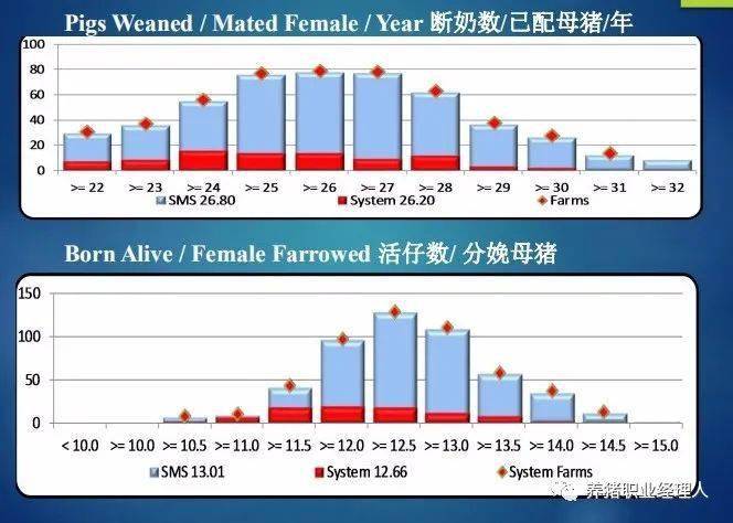 纸品制造