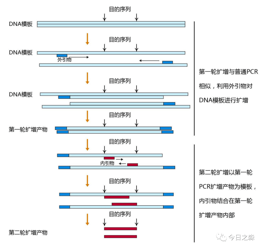 pcr扩增仪原理