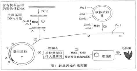 pcr扩增机器